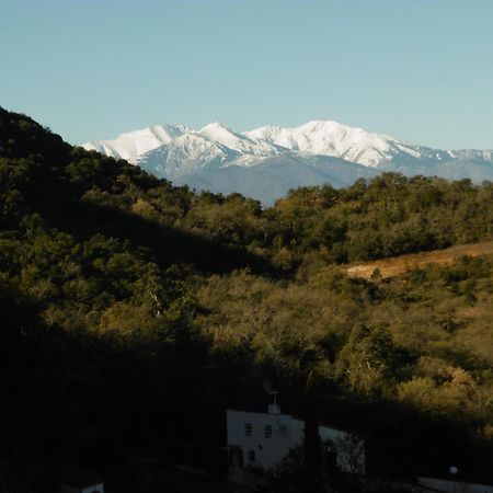 O Petit Bonheur Villa Laroque-des-Albères Екстериор снимка